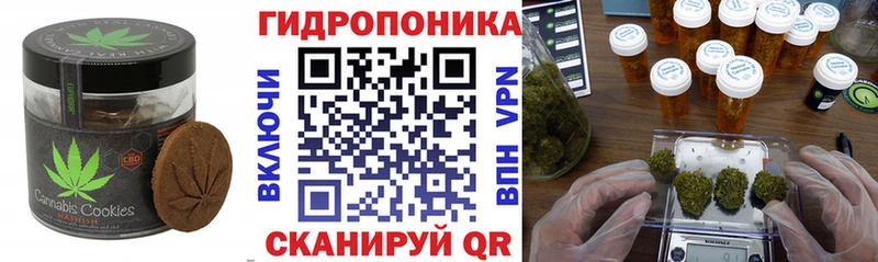 Canna-Cookies конопля  Алексеевка 