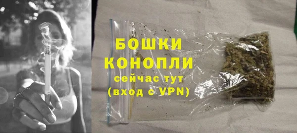 тгк Пестово