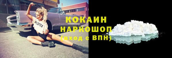 крисы Осинники