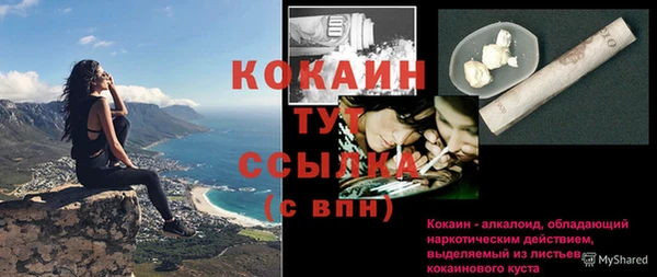 крисы Осинники