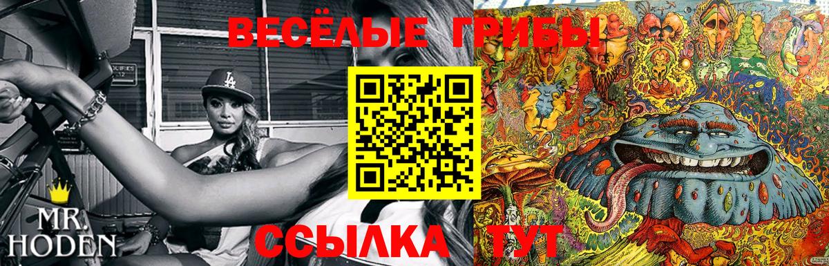 Псилоцибиновые грибы GOLDEN TEACHER  Алексеевка 