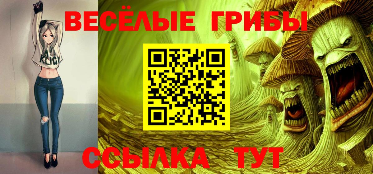 Алексеевка  Псилоцибиновые грибы мицелий  Вход с VPN 