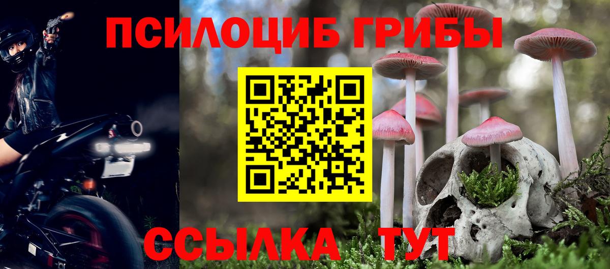 Галлюциногенные грибы мицелий Алексеевка