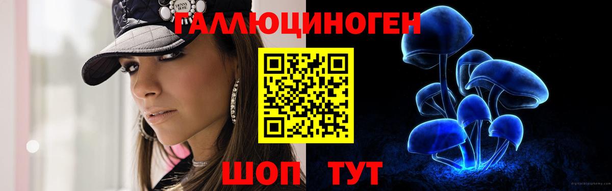 Псилоцибиновые грибы GOLDEN TEACHER Алексеевка